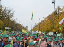 Ogólnopolska manifestacja działkowców (10.10)
